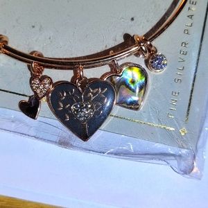 Fine Silver Plated Family Charm Bracelet
